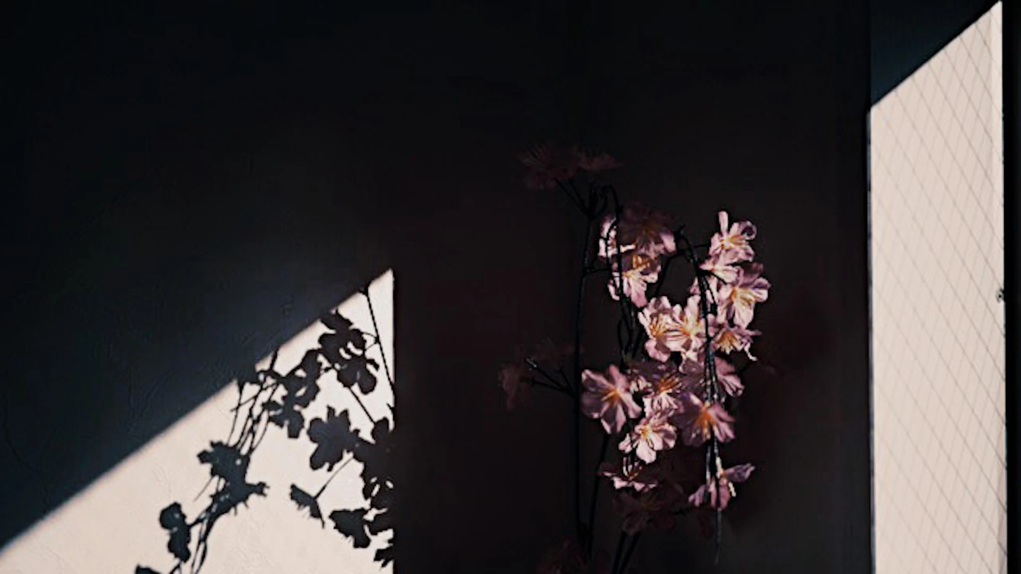 影 · 07