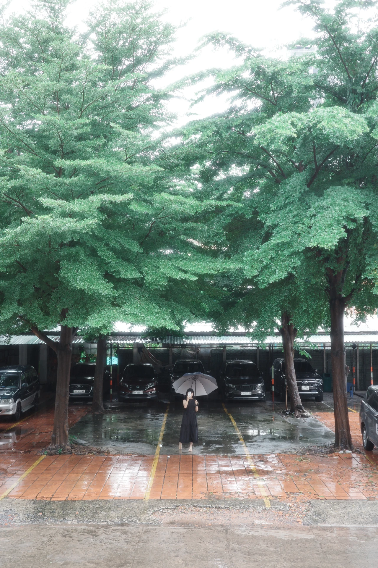 越南纵贯之旅 · 影像 05