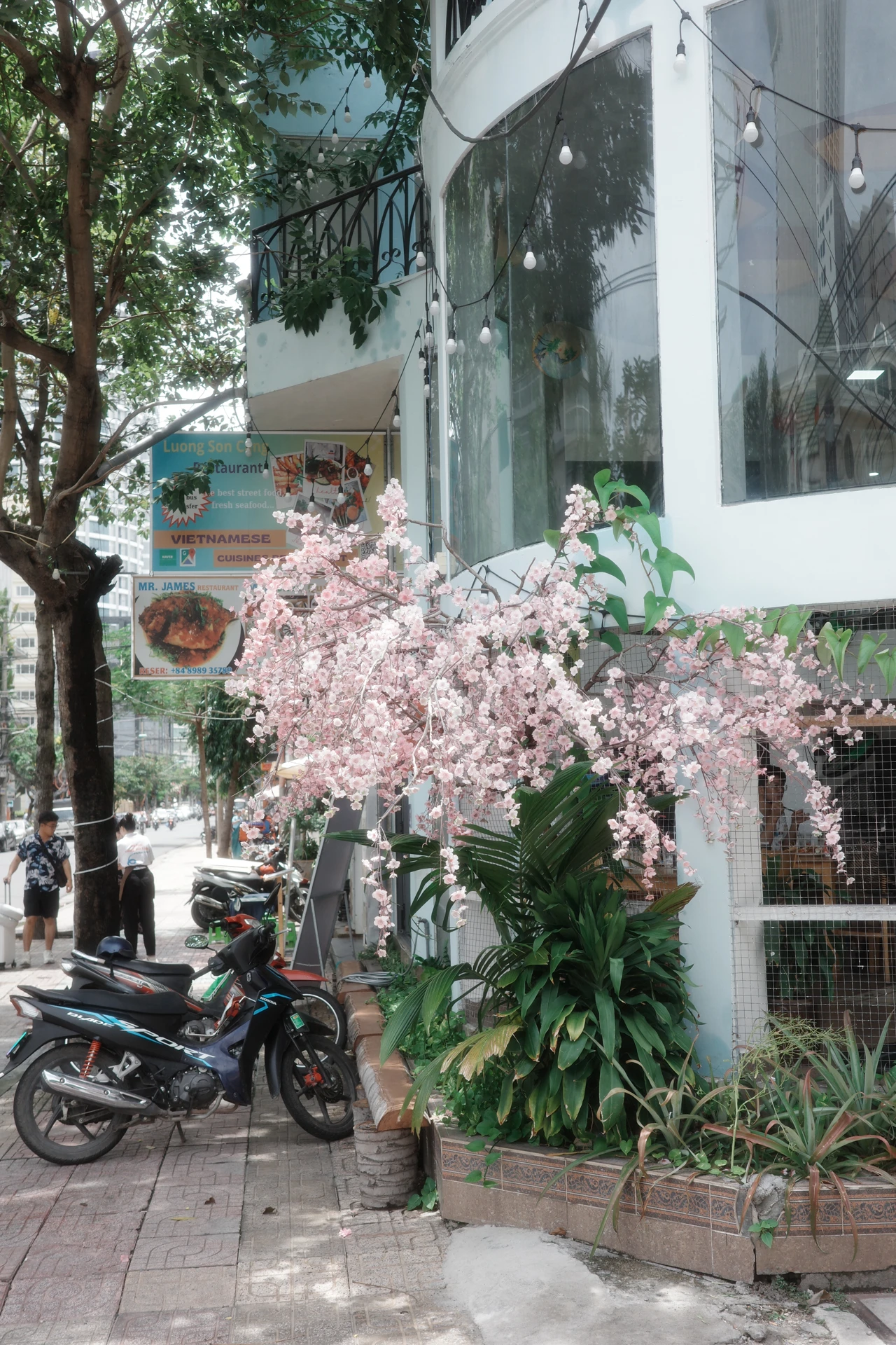 越南纵贯之旅 · 影像 19